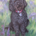 Sequoia, portrait of a Labradoodle by Hope Lane