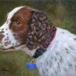 Bella, Springer Spaniel Painting by Hope Lane