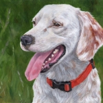 Huckleberry, portrait of an English Setter by Hope Lane