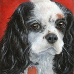 Morgan, portrait of a King Charles Cavalier Spaniel by Hope Lane