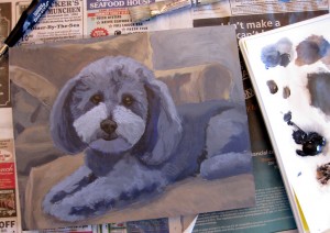 Rough underpainting for Kirby the havanese portrait